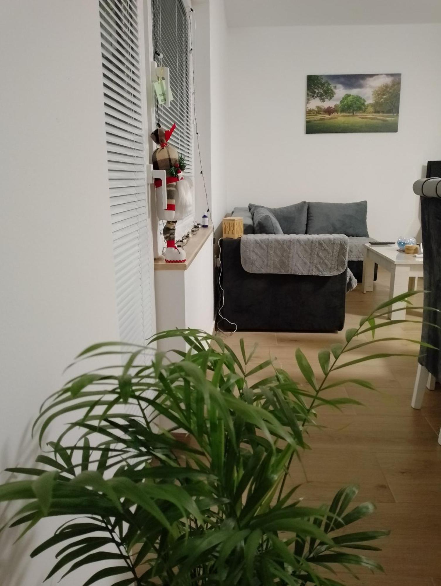 Apartman Dve Lipe Palić Esterno foto
